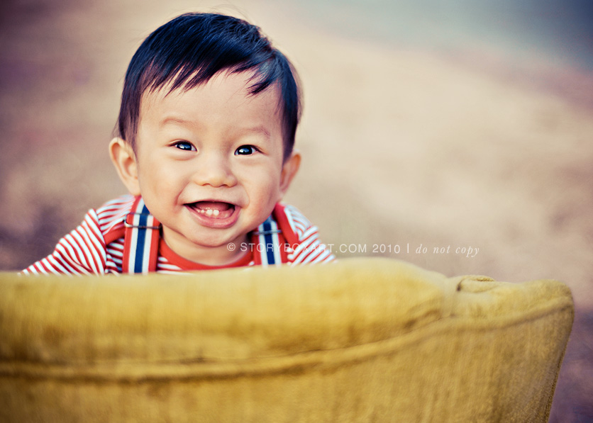 one year birthday portraits