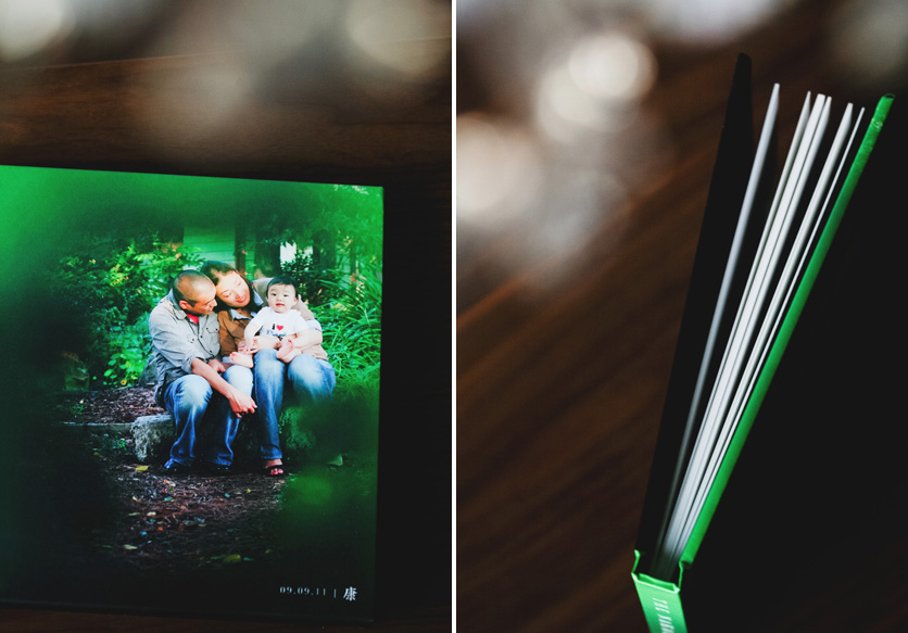 Family Portraits Album